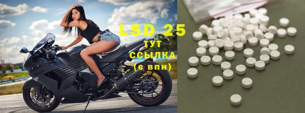 прущие грибы Абдулино