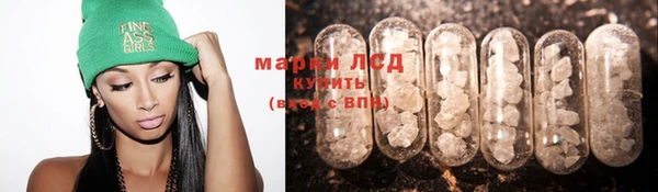 прущие грибы Абдулино