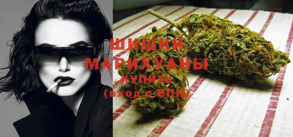 прущие грибы Абдулино