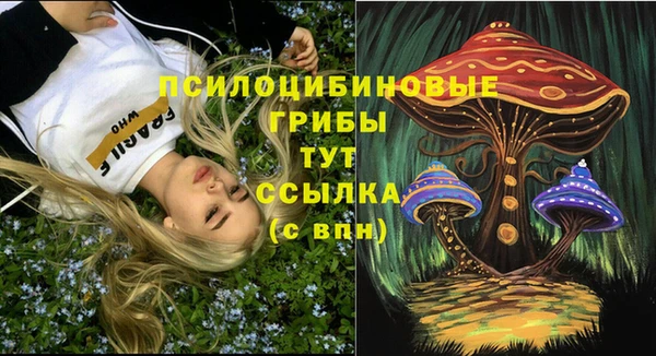 a pvp Абаза