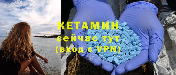 прущие грибы Абдулино