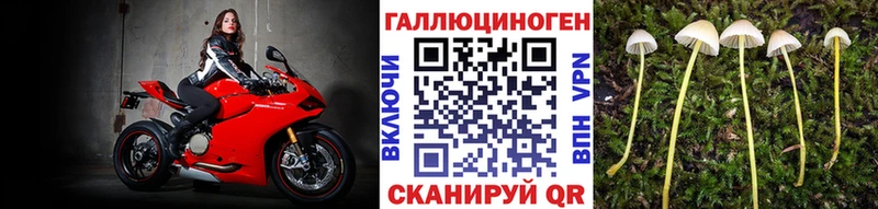 Псилоцибиновые грибы ЛСД  блэк спрут ONION  Щучье  что такое наркотик 